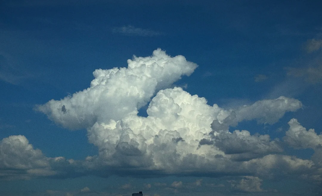 崽的老师是个低碳选手，崽回家跟饥民一样