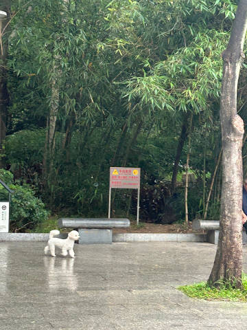 雨中漫步以及误闯相亲角