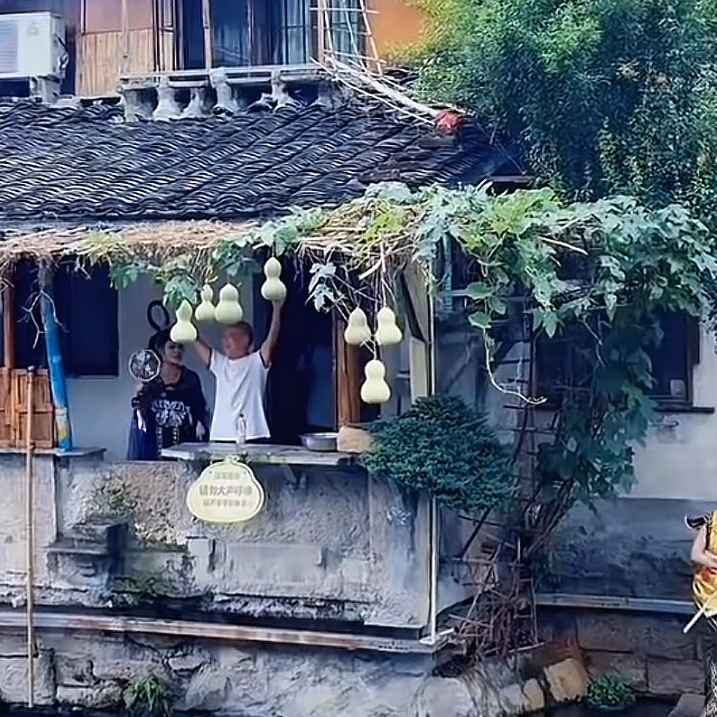 大家还记得前不久火起来的“绍兴葫芦娃爷爷”陈金敖吗，75岁，他是绍兴书圣故里探花桥旁临河老宅的居民，2026年夏末因自家阳台种出“七个葫芦”意外走红网络。

话说在2026年