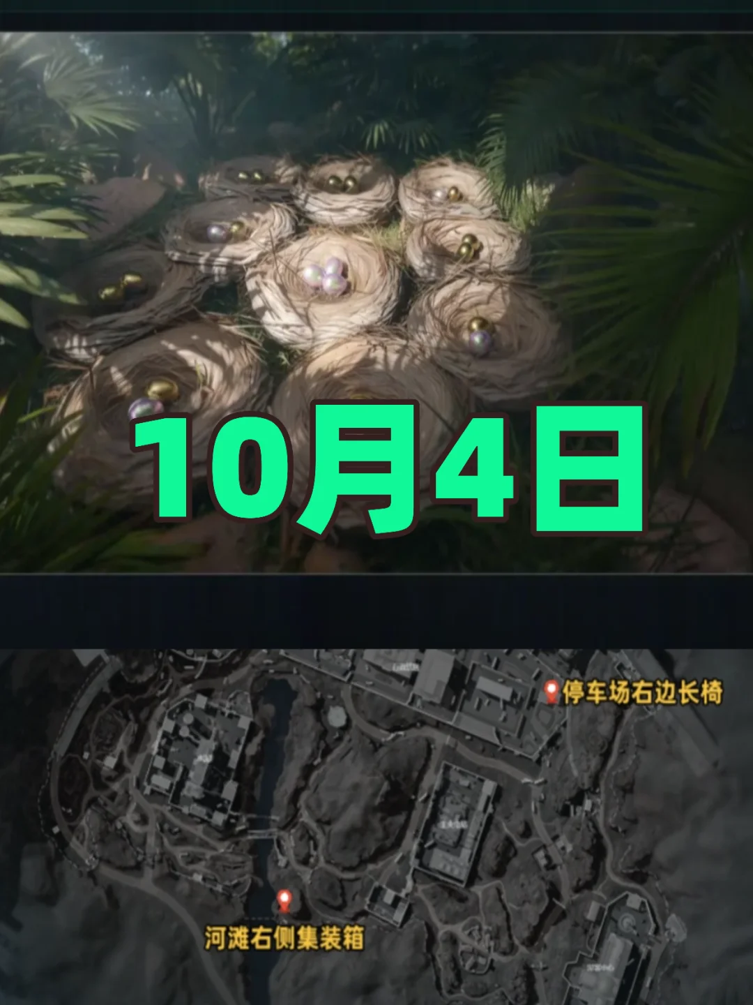 三角洲行动10月4日鸟窝聚集地点位