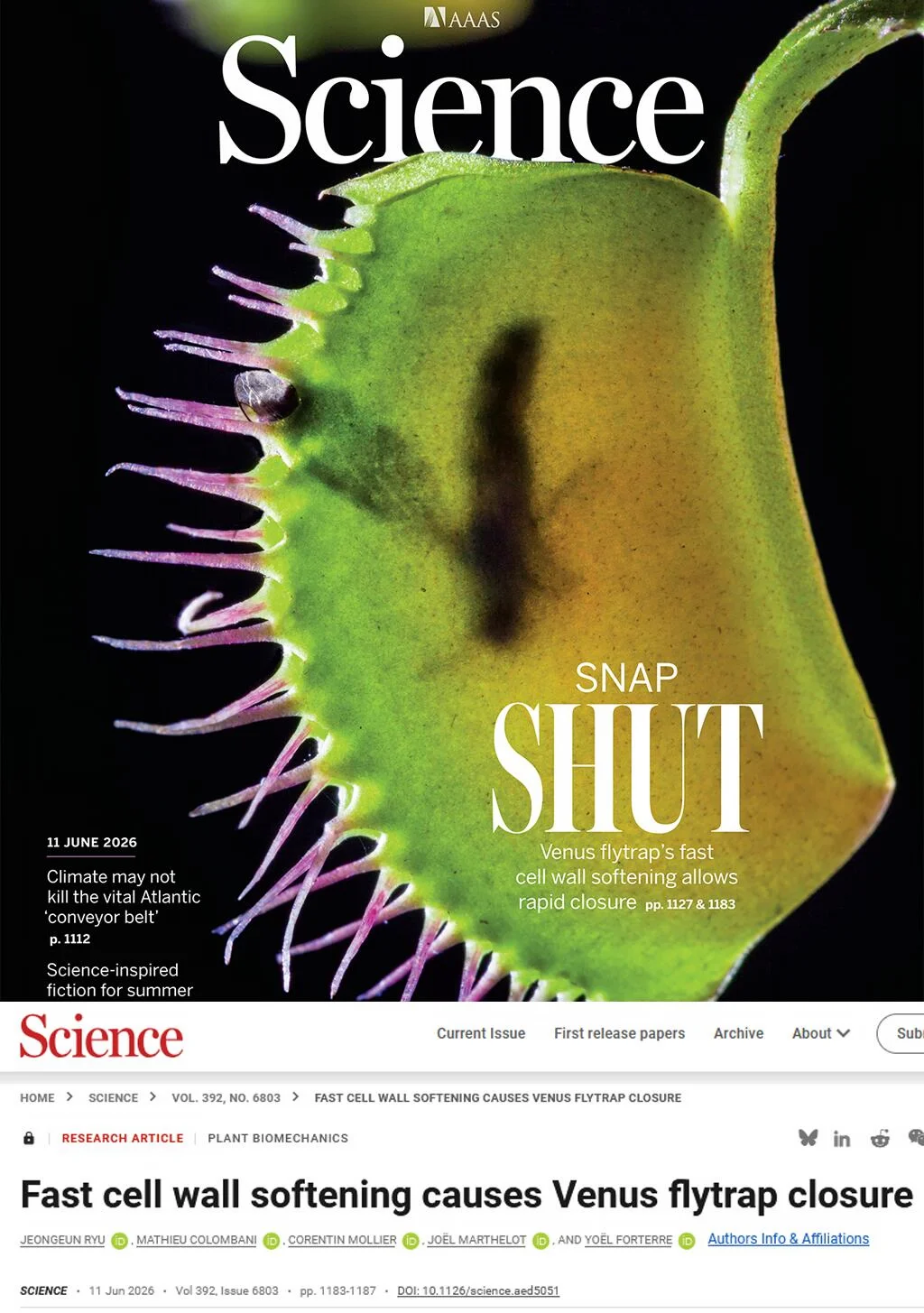 Science封面-破解达尔文百年捕蝇草机密
