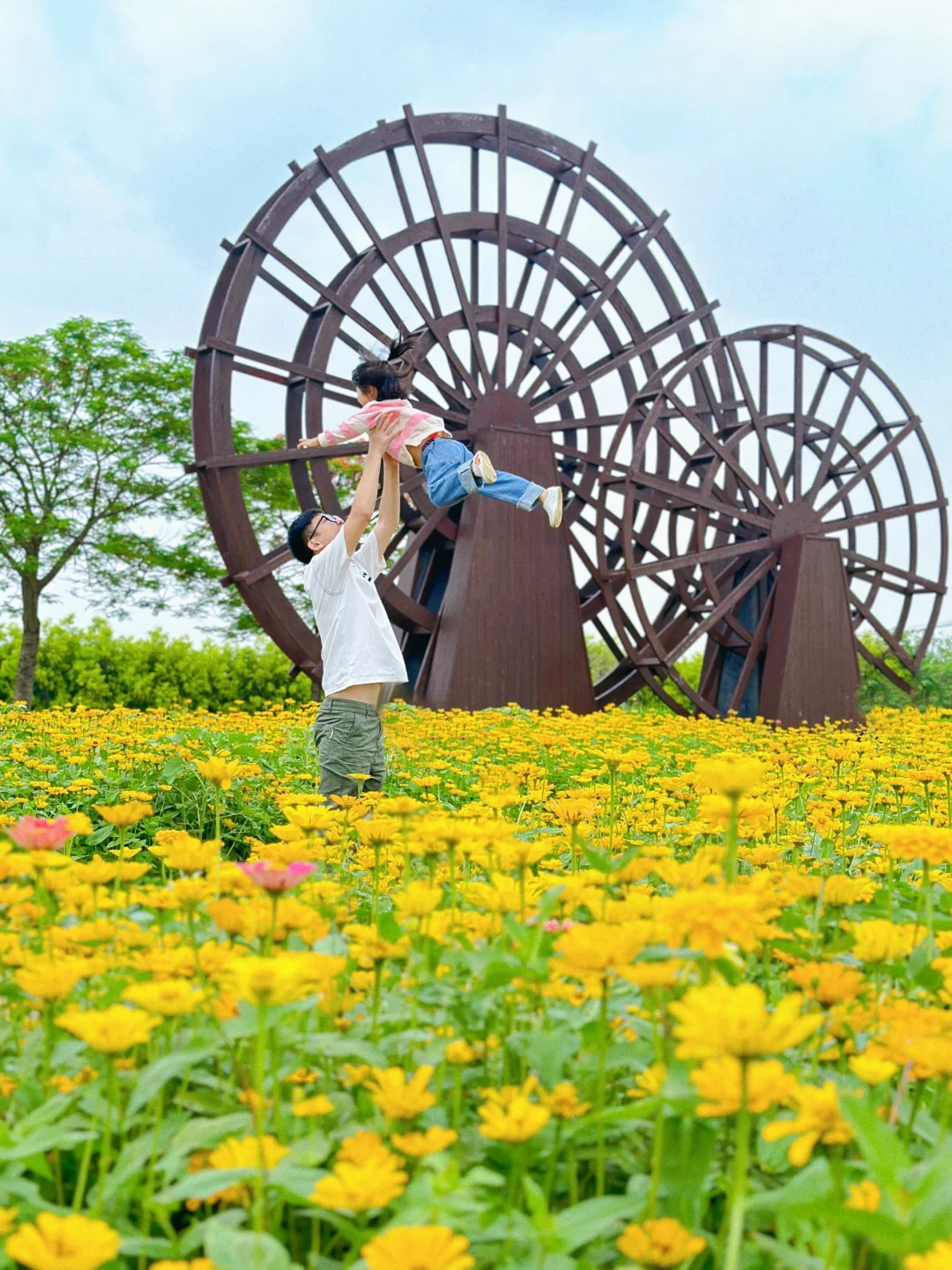 佛山这座小岛超好玩‼️浪漫花海🌼亲子采摘