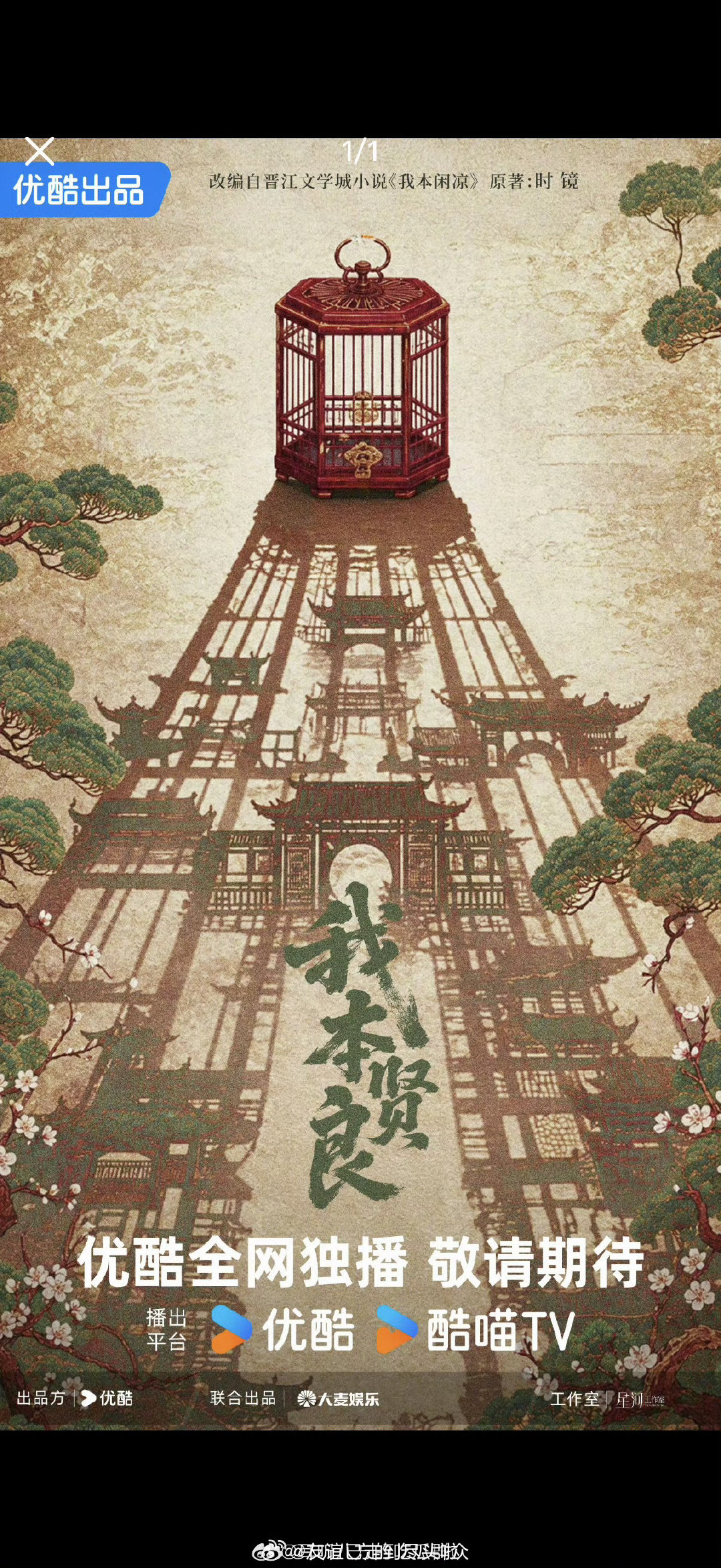 🍉：谭松韵《我本贤良》，👖优酷古装权谋剧

改编《我本闲凉》，穿越成寡妇的女主撩谪仙男主，男主先动心，看着挺有意思 ​