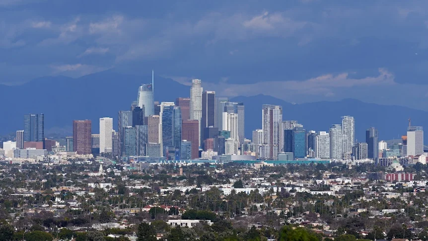 美警方挫败新年夜爆炸阴谋