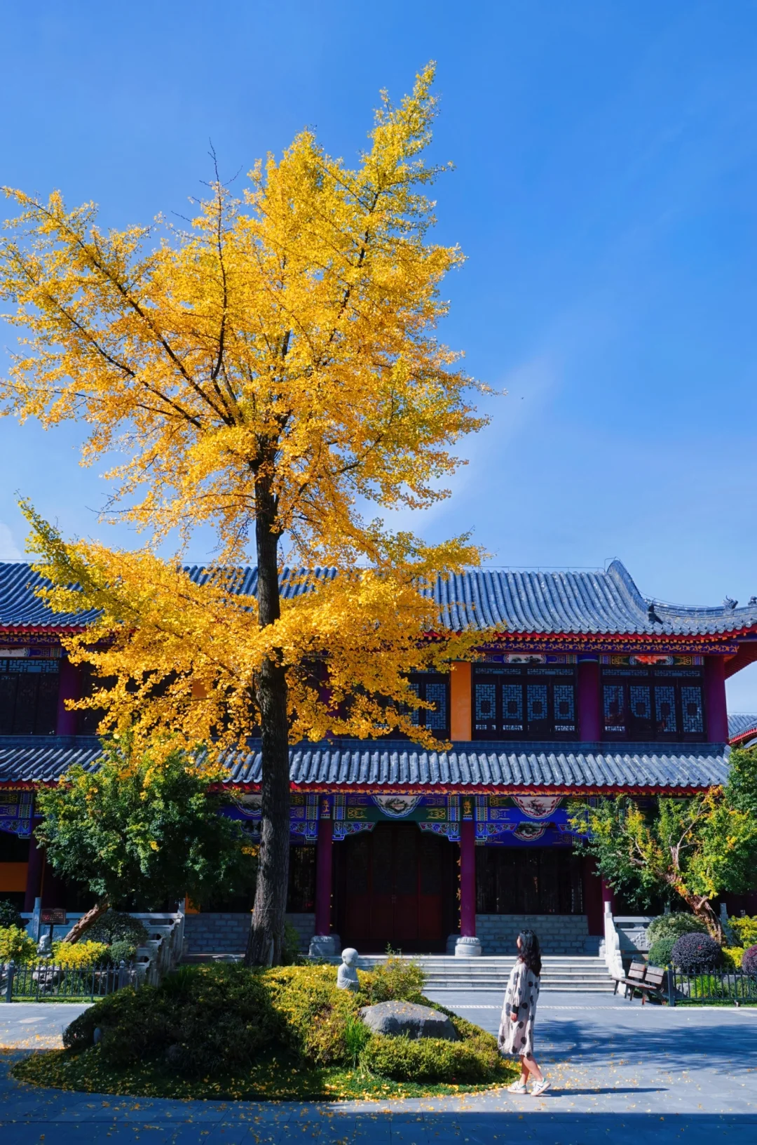 地铁直达0元景点🍂贵阳的秋色竟也如此美