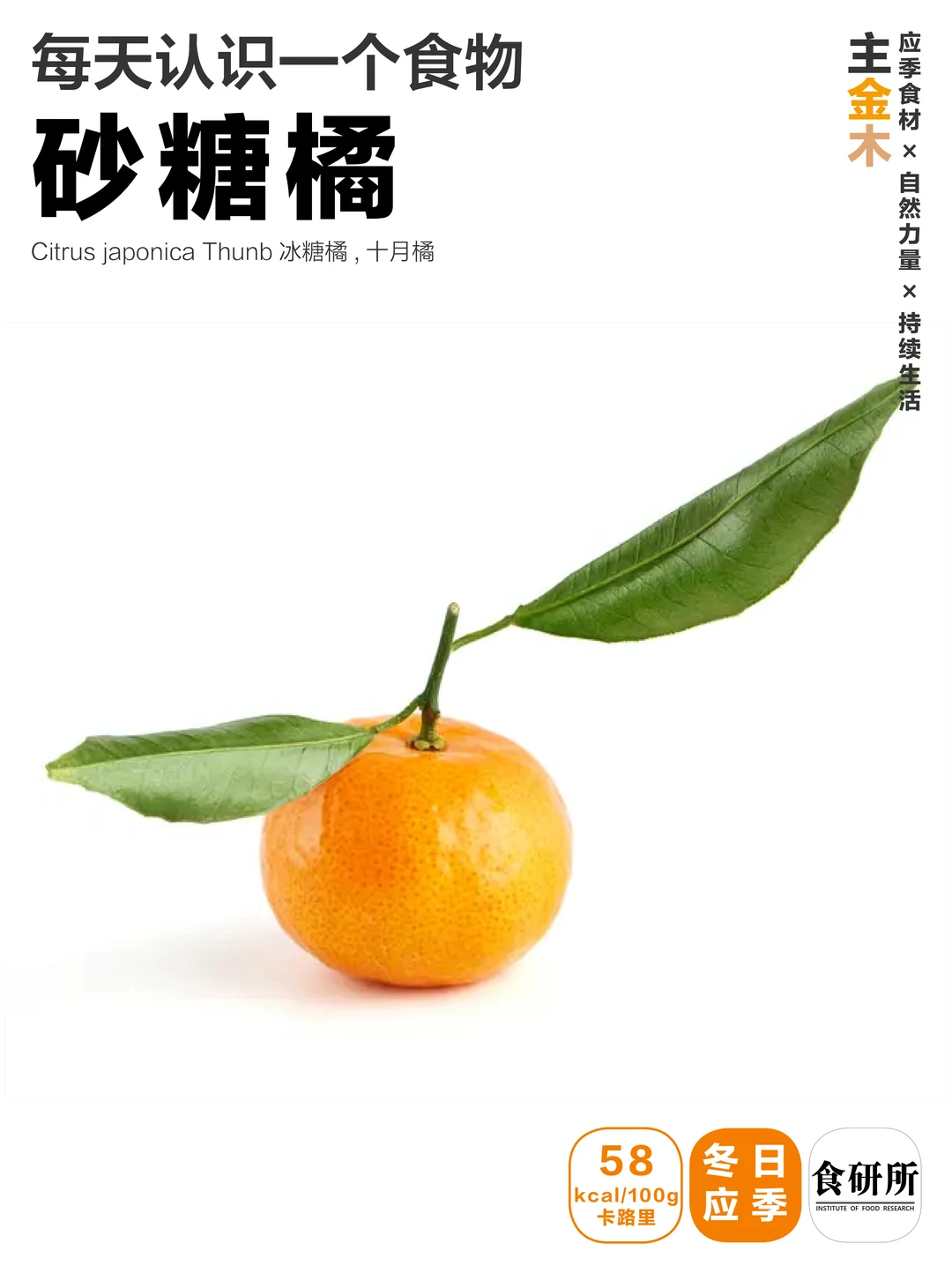 砂糖橘 | 是上午买的，手是中午黄的