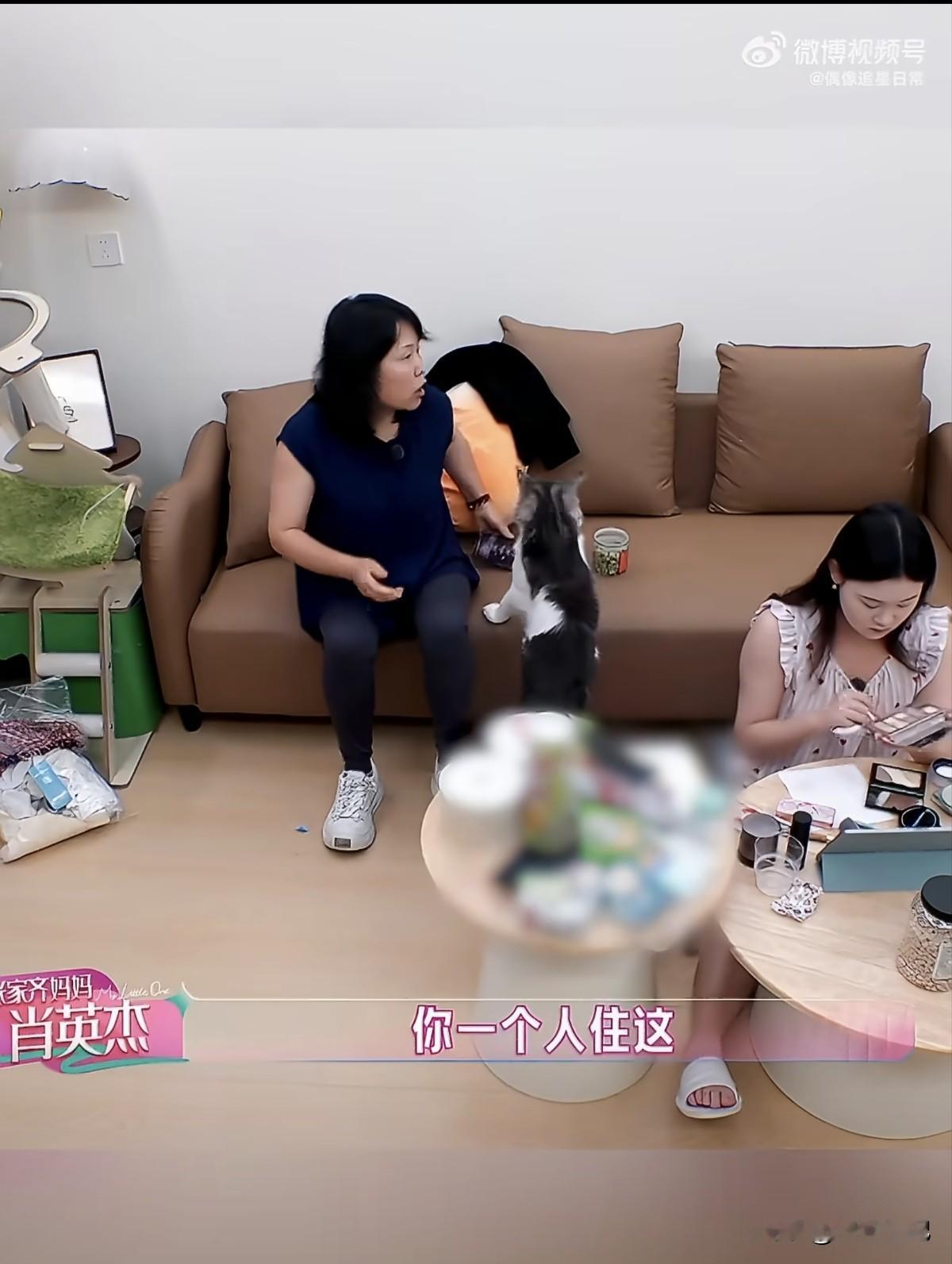 张家齐妈妈问张家齐：“你住的地方离公司远吗？”
张家齐：“不远。”
​张家齐妈妈：“你每天怎么去，你一个人住在这不想我吗？”
​张家齐：“打车，不想。”

妈妈专程来到张家齐上海独居的家中，坐在沙发上主动找话题寒暄，接连追问日常细节。询问住处离公司远不远、日常通勤方式，甚至温柔试探独居会不会想念家人