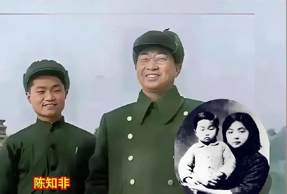 陈知非算是很幸运的，摊上了傅涯这样一位深明大义的继母，十六七岁的时候，还能够来到父亲陈赓的身边，跟继母一起生活。
 
那是一个春天的傍晚，延安窑洞的土炕烧得温热。陈知非局促地站在门边，手里攥着洗得发白的旧包袱皮，指甲几乎嵌进肉里。他刚被一个八路军战士领进这间陌生的窑洞，一眼就认出了父亲——和他珍藏的