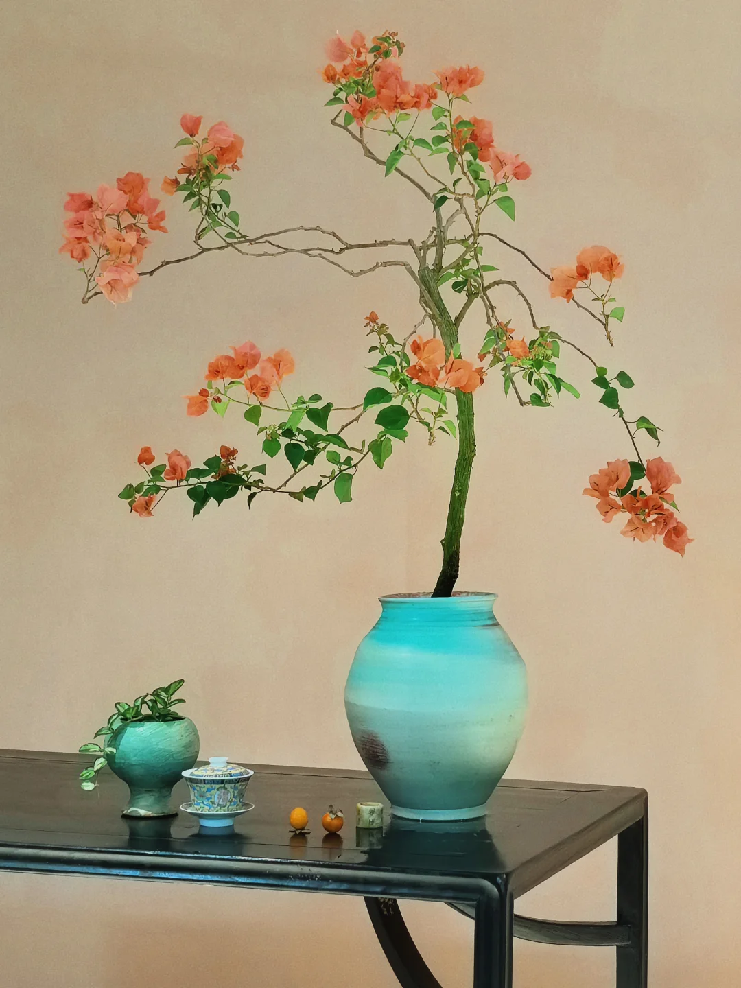 “没有一朵花，从一开始就是花”