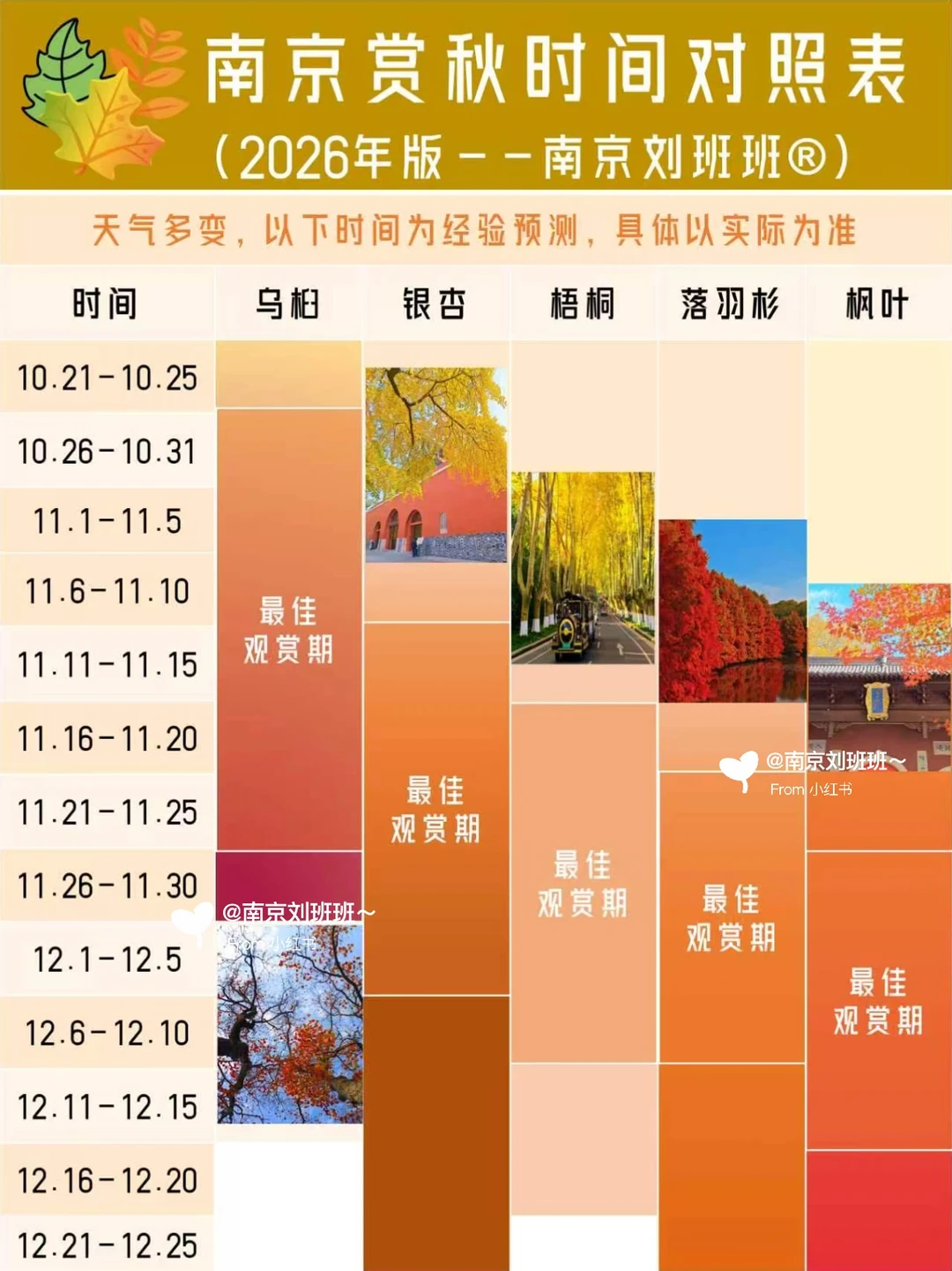 🍁立秋｜开始期待南京的秋天！18张图解锁