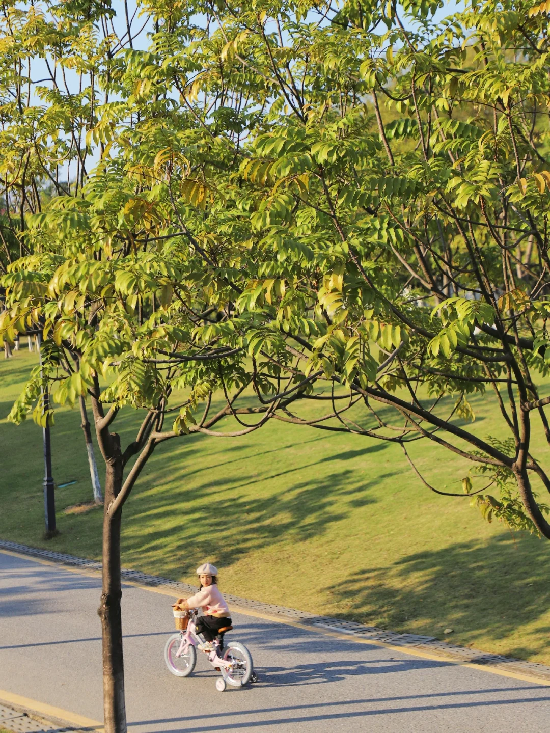 广州白云免费宝藏公园，湖畔骑行玩乐不费妈