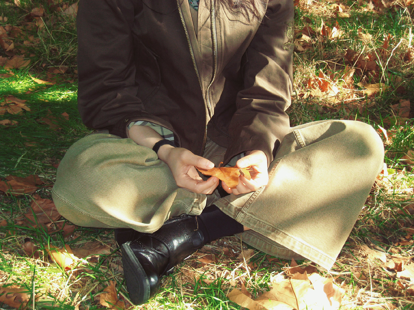 - 张婧仪 。🍃🍂 ​