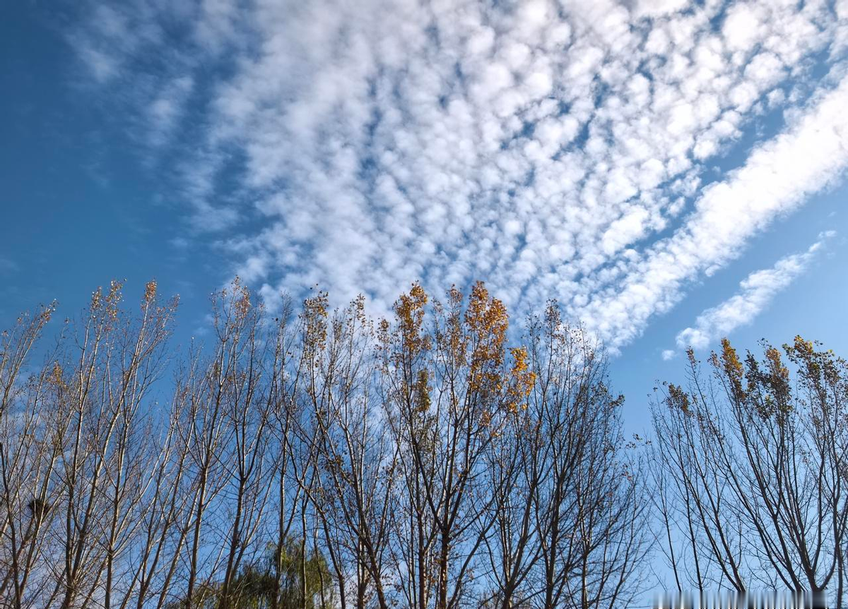 选对象不是选衣服，别光看脸和钱包，得看祖上有没有“定时炸弹”。 三代内...
