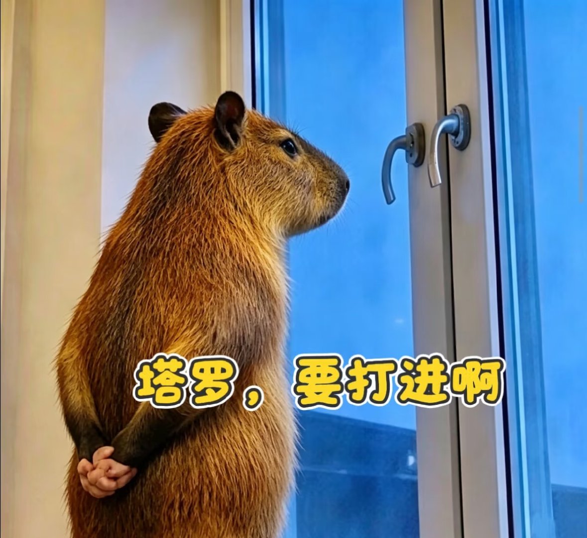最后是原图
