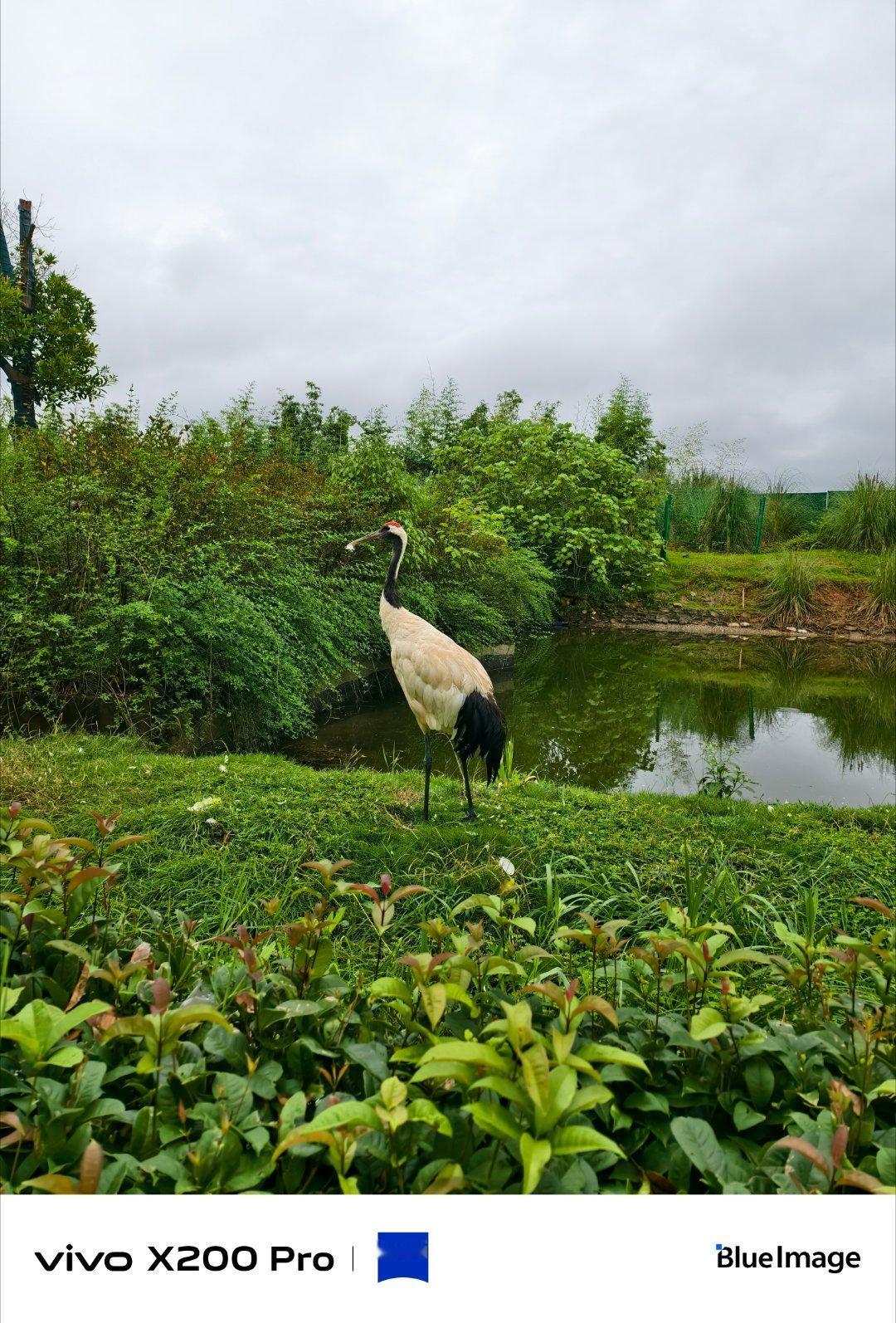 #vivo[超话]# 放下浮躁静下心来，世间所有风景，都在温柔等待我们慢慢欣赏。 ​