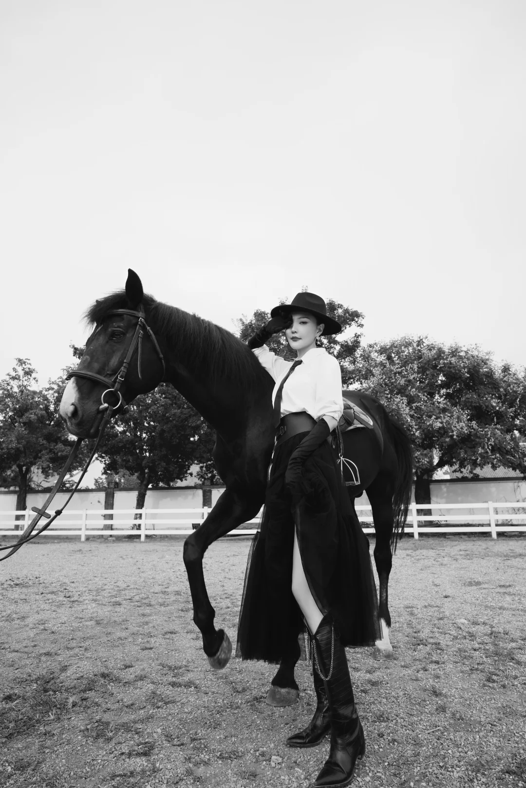 🐎🐎🐎