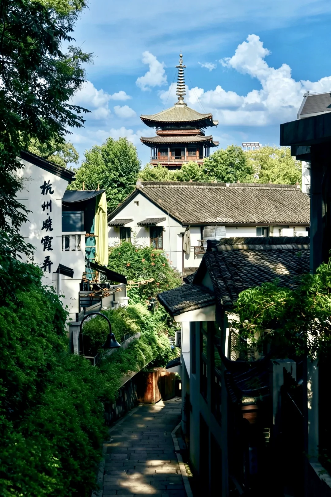 来杭州玩别只去西湖🍃留半天时间给这里