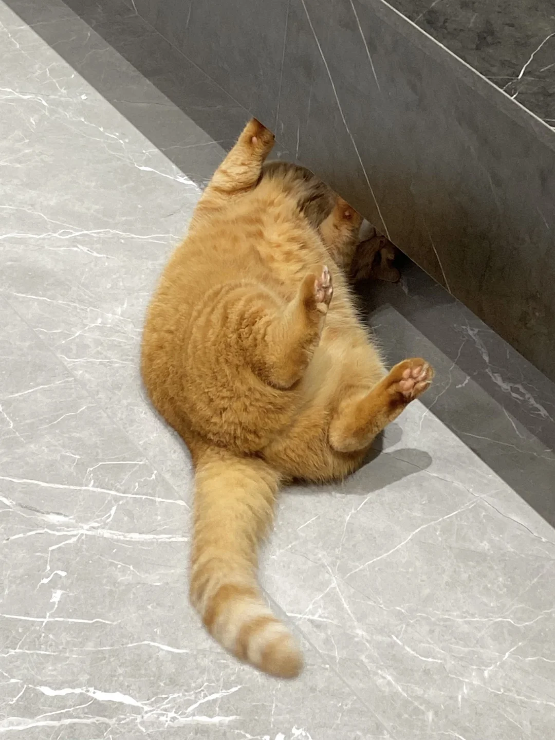 这谁能顶得住！！！！！