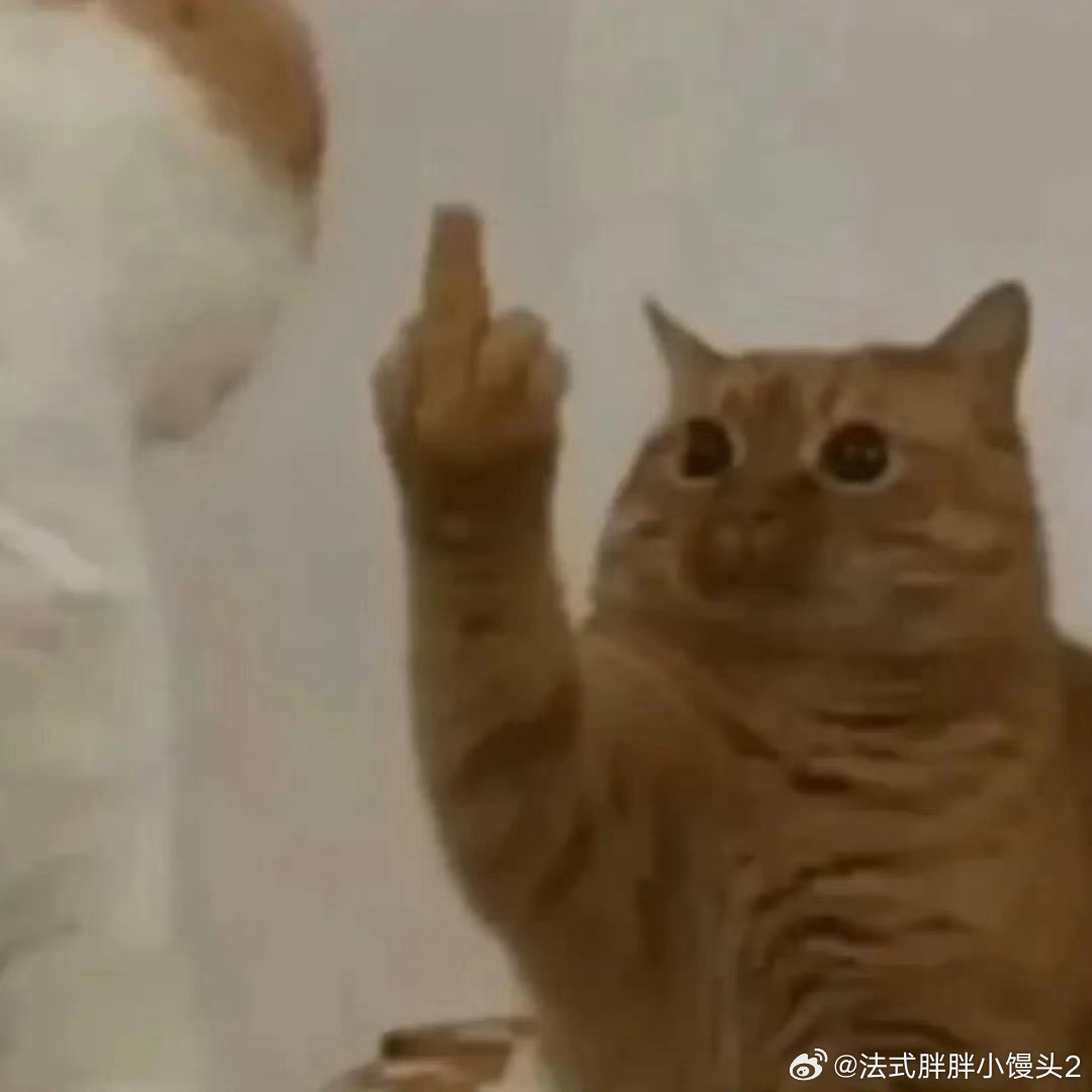 小洪买的新鱼竿到了他特别开心 没有见过他这么开心🐍：吼吼吼吼我的新鱼竿真好用，特别丝滑（发出猿猴叫声）🐰：你这么开心啊…但是等等哥们儿…不是说给我买的新鱼竿吗？怎么说是你的？🐍：你先用破的那个练练手🐰：[微笑]恋爱恋爱[超话]plog ​​​