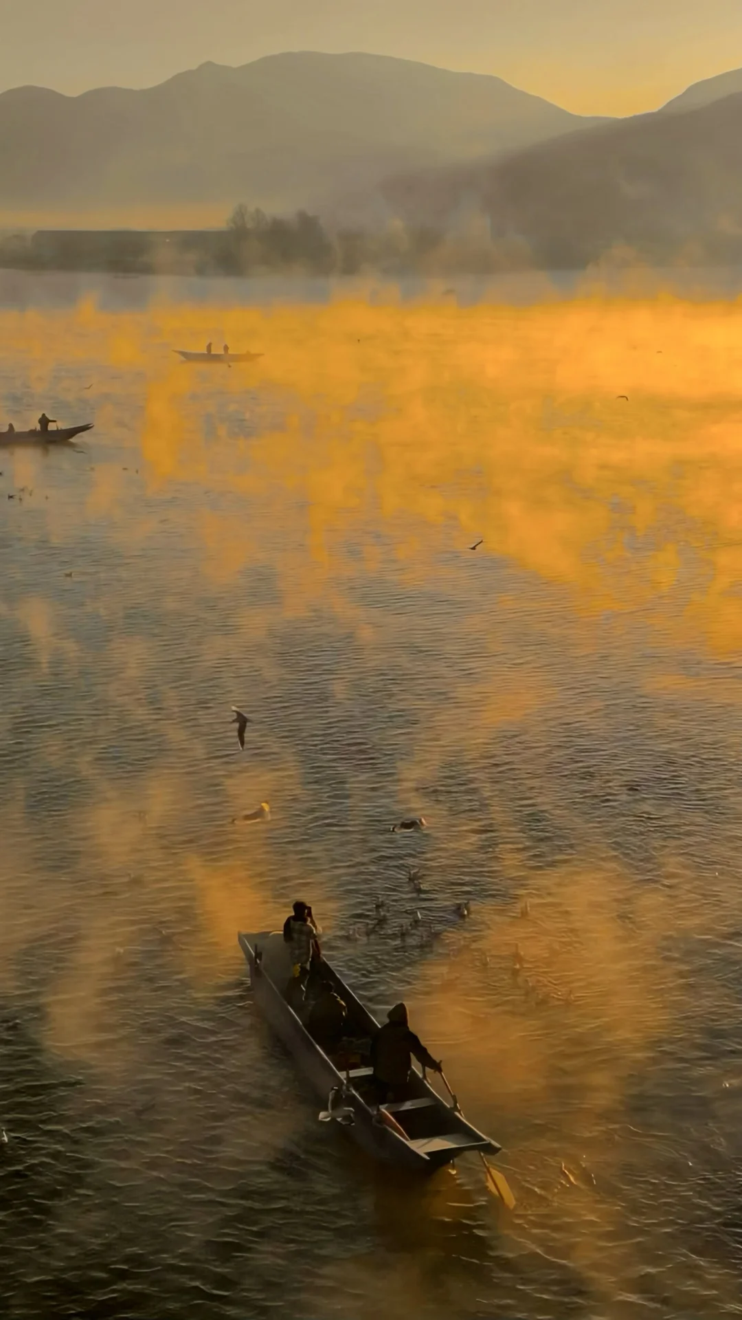 2026.1.10 | 泸沽湖世纪晨雾杀疯了！！！！