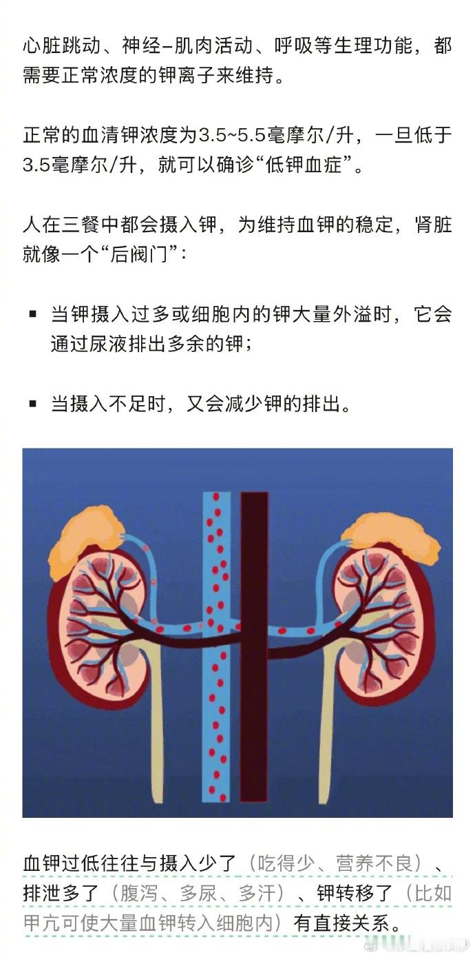 【 钾和钠一样，是人体内重要的无机盐，它俩是联合在一起“工作”的：钾离...