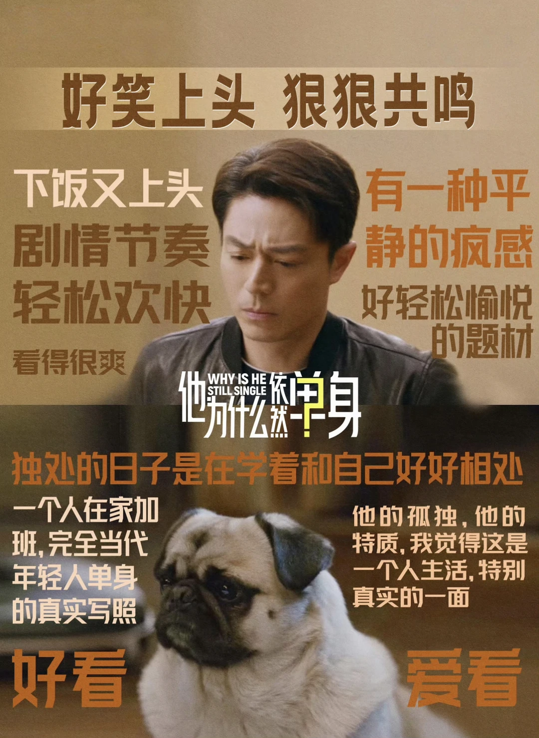 这剧真挺有趣的，和其他剧不太一样！