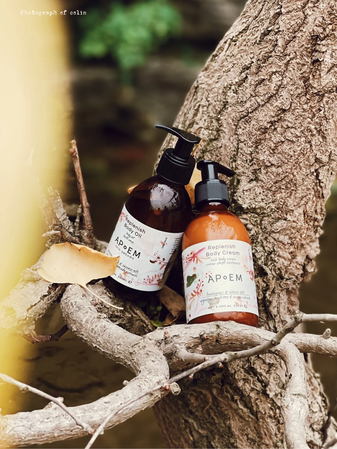 sHaRe🌸让毛孔在精油的分子里欢愉