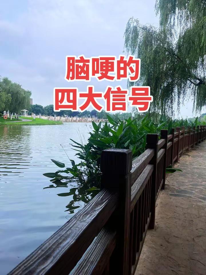 第二届