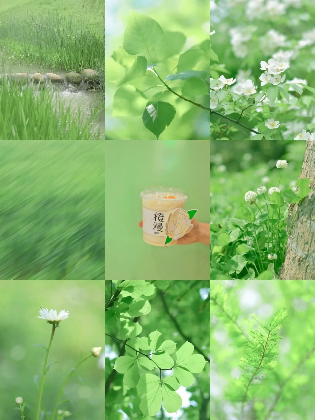 武汉拍照/五月用这个抹茶绿滤镜迎接夏天吧