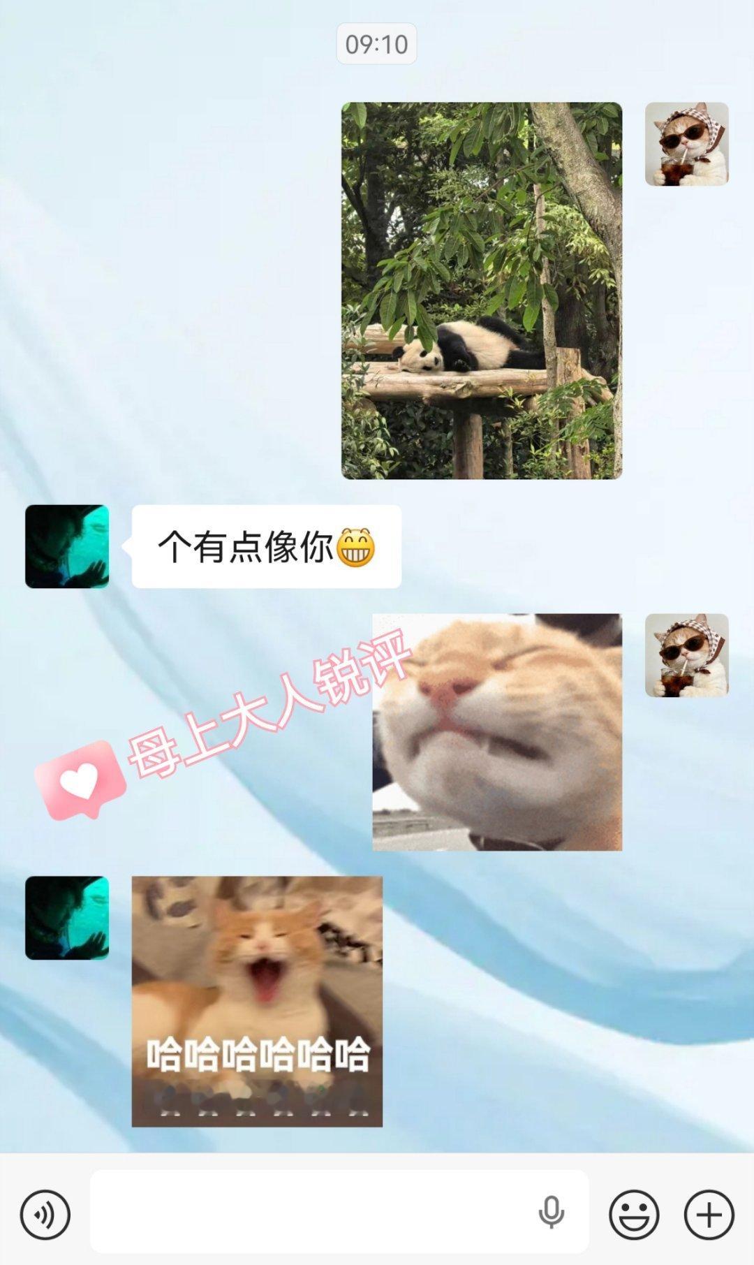 Day10
成都 熊猫基地 三星堆
又是日行2W步 费脚 ​