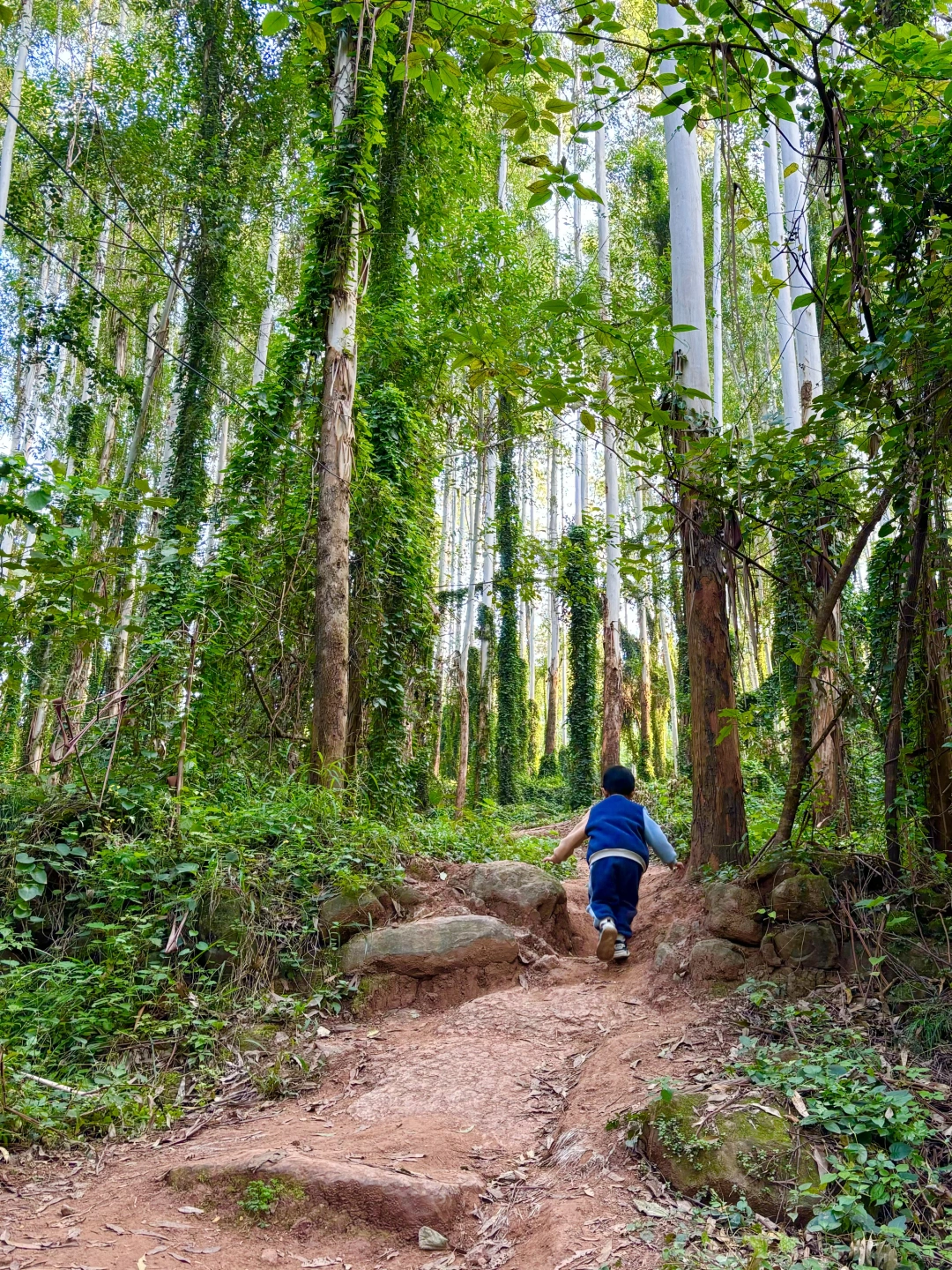 成都0.5h，竟然藏着这么惊艳的路线！太爱了❗️
