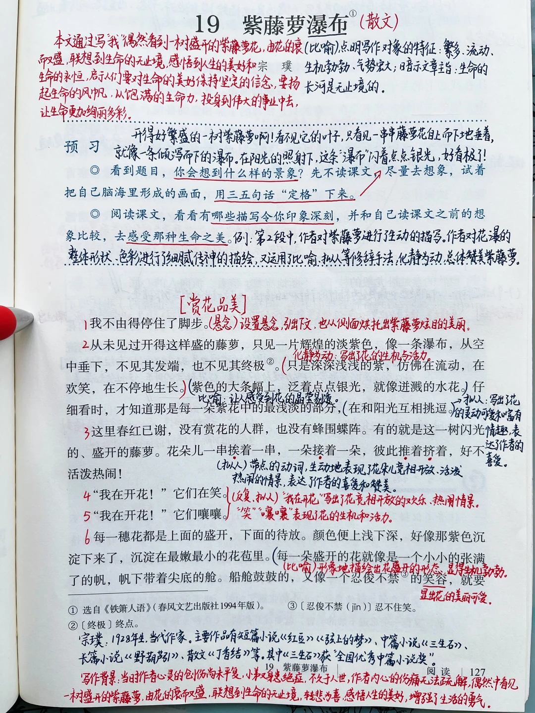 七年级下册语文｜19.《紫藤萝瀑布》课堂笔记