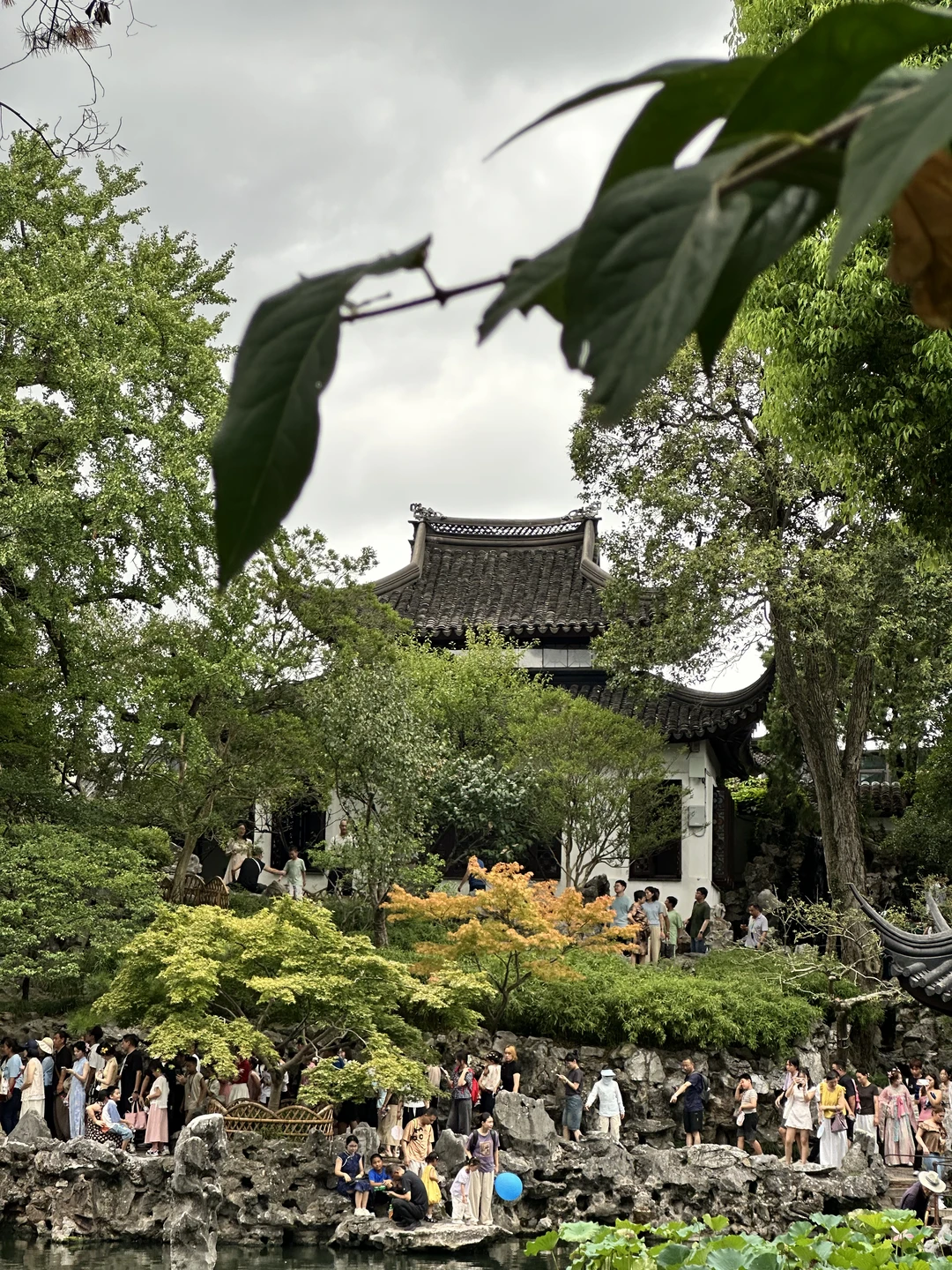 苏州虎丘｜狮子林
