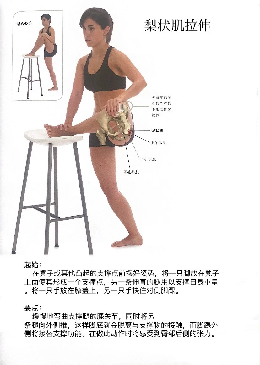 拯救扁平臀部！梨状肌拉伸让你身形更完美👀