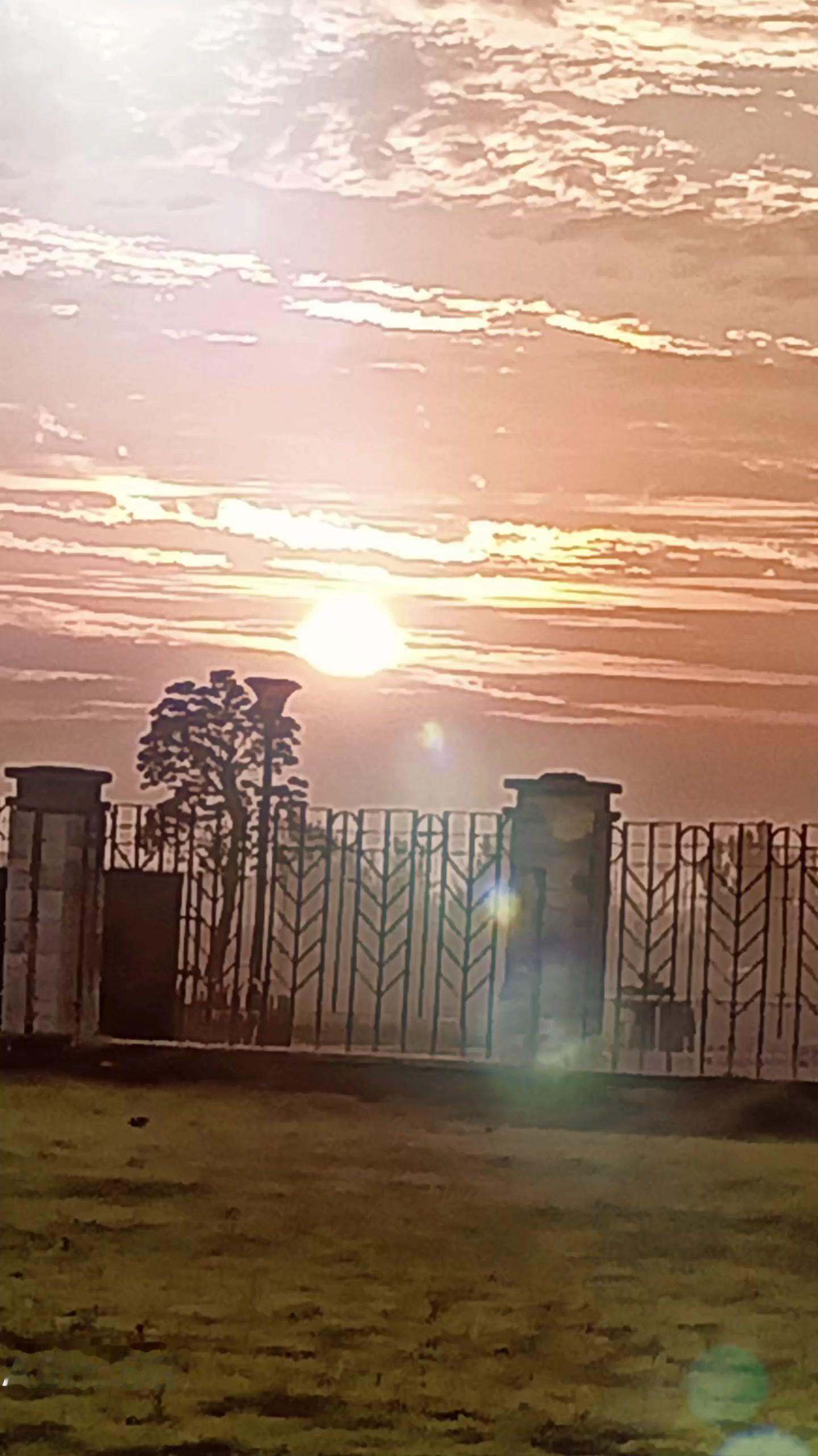 <p>情感共鸣 <!--{img:0}--></p><img src=...