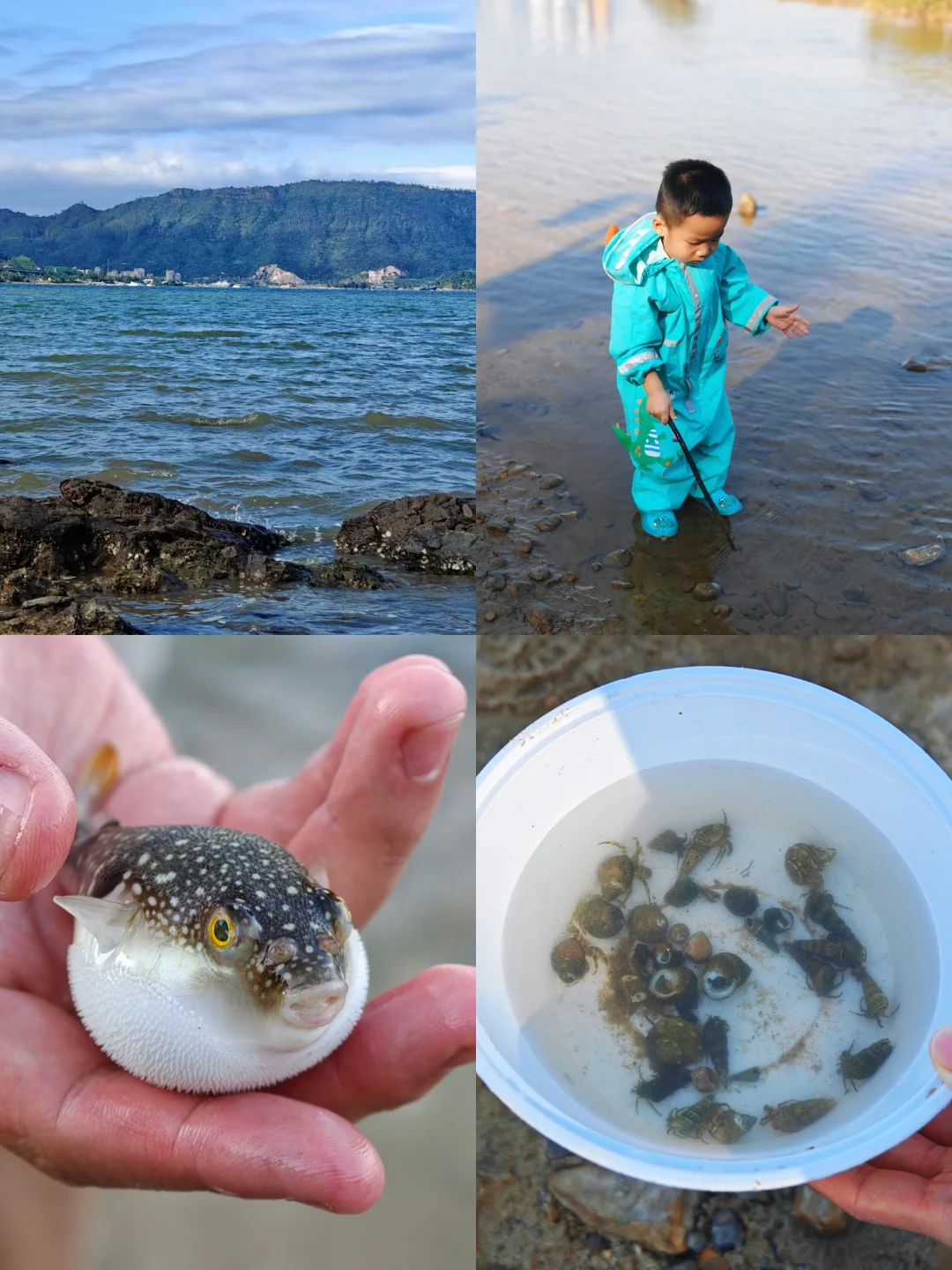 深圳土著宝妈私藏❗赶海+露营遛娃天花板