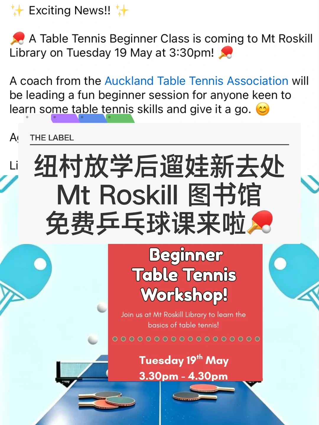 🇳🇿纽村遛娃 免费桌球课！新手友好！6+娃冲！