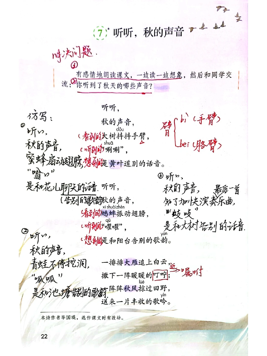 三年级上册语文 7《听听，秋的声音》