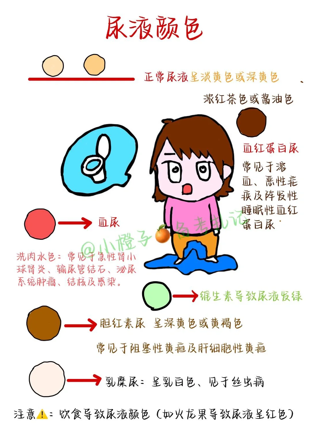 📖护师笔记｜基础护理学｜尿液颜色🧐