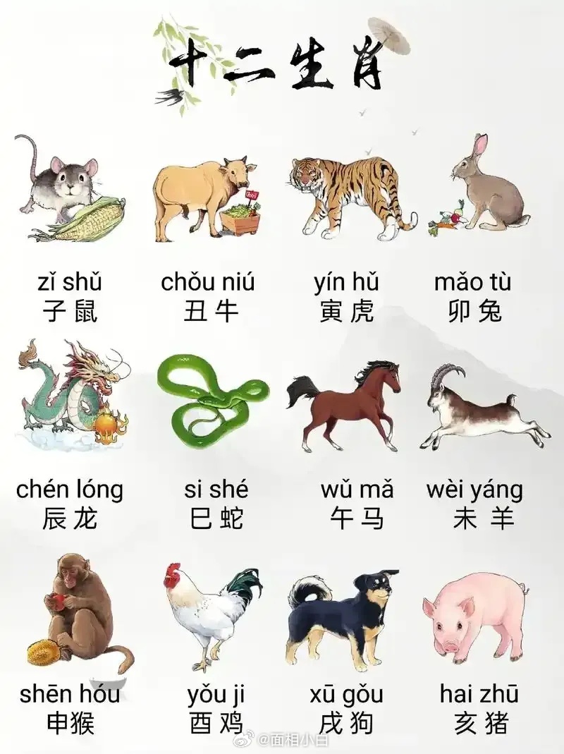 十二生肖出生在几月，就决定了你是什么命（阴历）：生七月： 蛇、虎、兔、劳累命 生十月： 牛、马、狗、旺财命 生八月： 猪、羊、猴、旺夫命 生一月： 鸡、猴、兔、操心命 生五月： 马、兔、龙、公主命 生六月： 鼠、虎、龙、保姆命 生四月： 兔、蛇、狗、土豪命 生三月： 牛、猪、羊、有钱命生九月： 猴、蛇、马、老板命 生二月： 狗、马、鸡、暴富命 生冬月： 鼠、虎、龙、操心命 生腊月： 牛、龙、猪、发财命