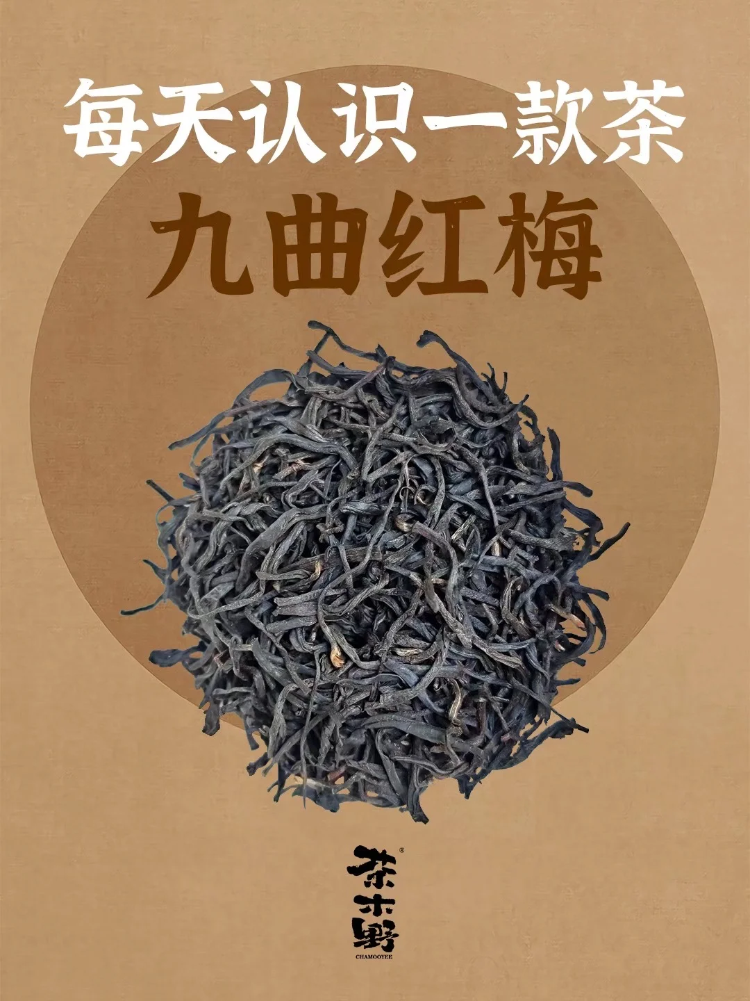 知识分享丨一分钟了解九曲红梅