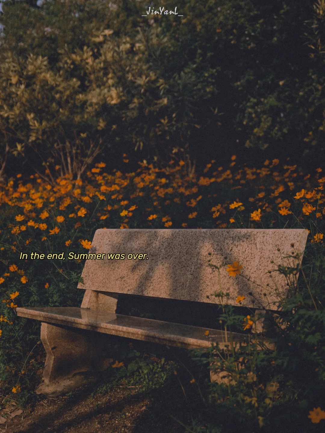 厦门拍摄｜我猜应该也有人类叫黄秋英吧……