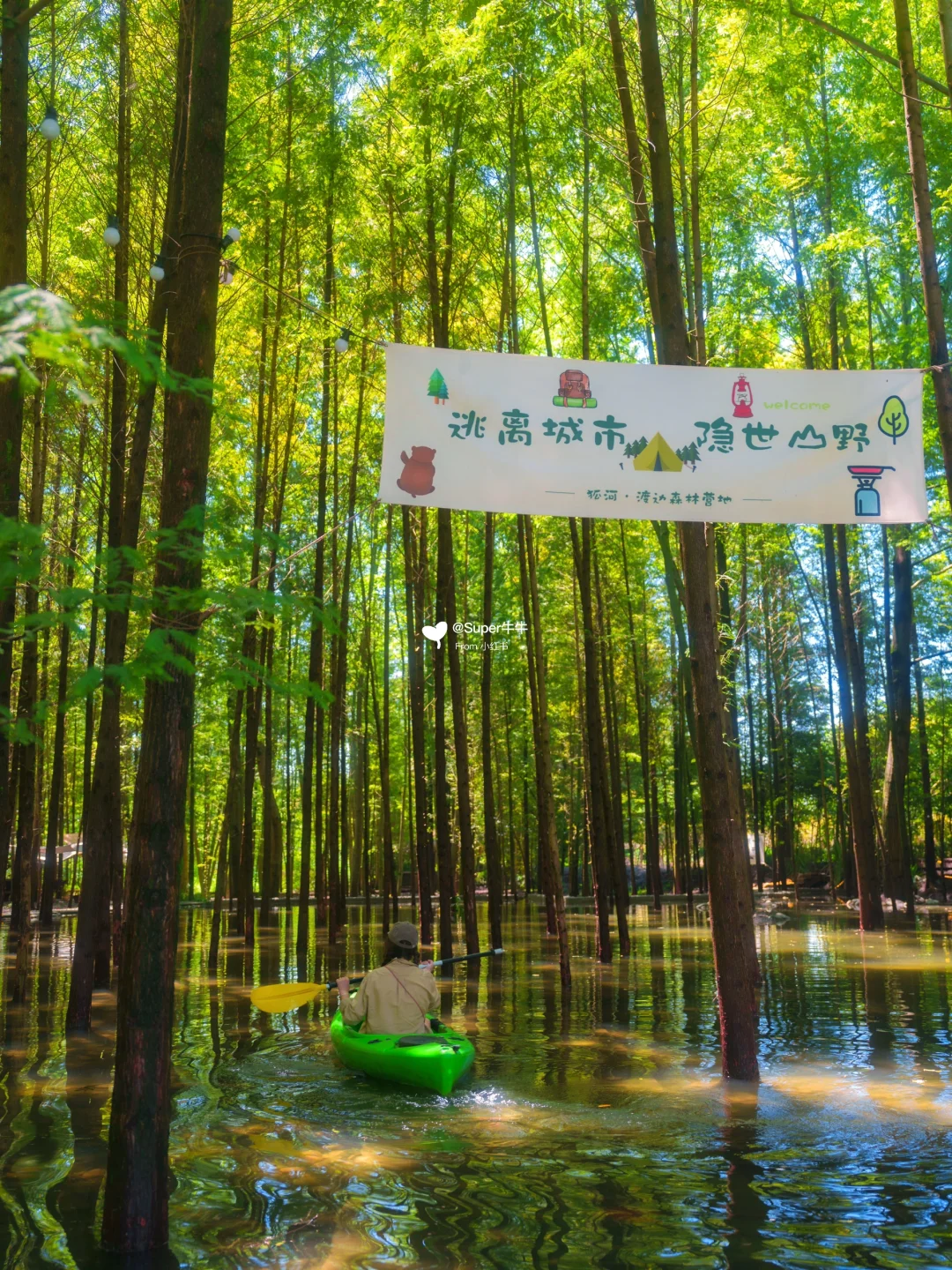 哇塞❗️成都水上森林🌲遛娃划船🚣🏻露营地