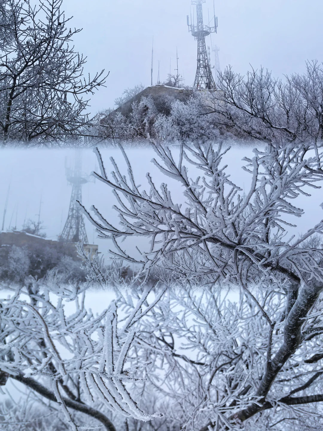 1.20拍到了南京紫金山的雾凇
