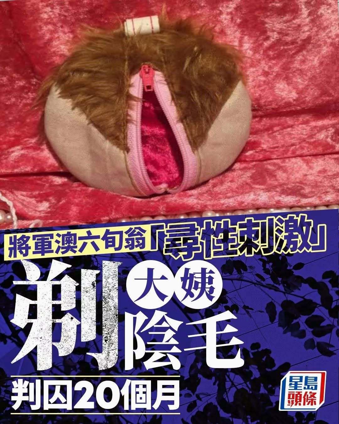 一名68岁男子，闲来无事，在家把71岁患有中度智障和认知障碍的大姨的阴毛剃掉，期间触碰其阴部，事后男子被捕。法庭上提供的证据显示，68岁被告L. H. Y.向心理学家表示，案发时想与大姨发生性行为，又想透过剃阴毛寻求性刺激，但终未能成事。同时，被告与感化官谈及本案时表现尴尬，他承认因一时冲动犯案，过程无使用暴力；被捕后他觉得后悔且羞愧。法官直言案情极为严重，被害者本身缺乏理解和自保能力，属于易受伤害群体，法庭须予以阻吓性刑罚，反映公众的厌恶和为受害人伸冤。法官续指被告到浴室取出剃刀，犯案过程维持约5分钟并曾接触大姨的阴部，过程并不短暂或偶然，而且案发时被告与大姨独处，大姨因患中度智障而孤立无助。被告利用其脆弱和依赖犯案。徐官认为除认罪免却大姨覆述不快经历外，并无其他减刑因素，终判入狱20个月。