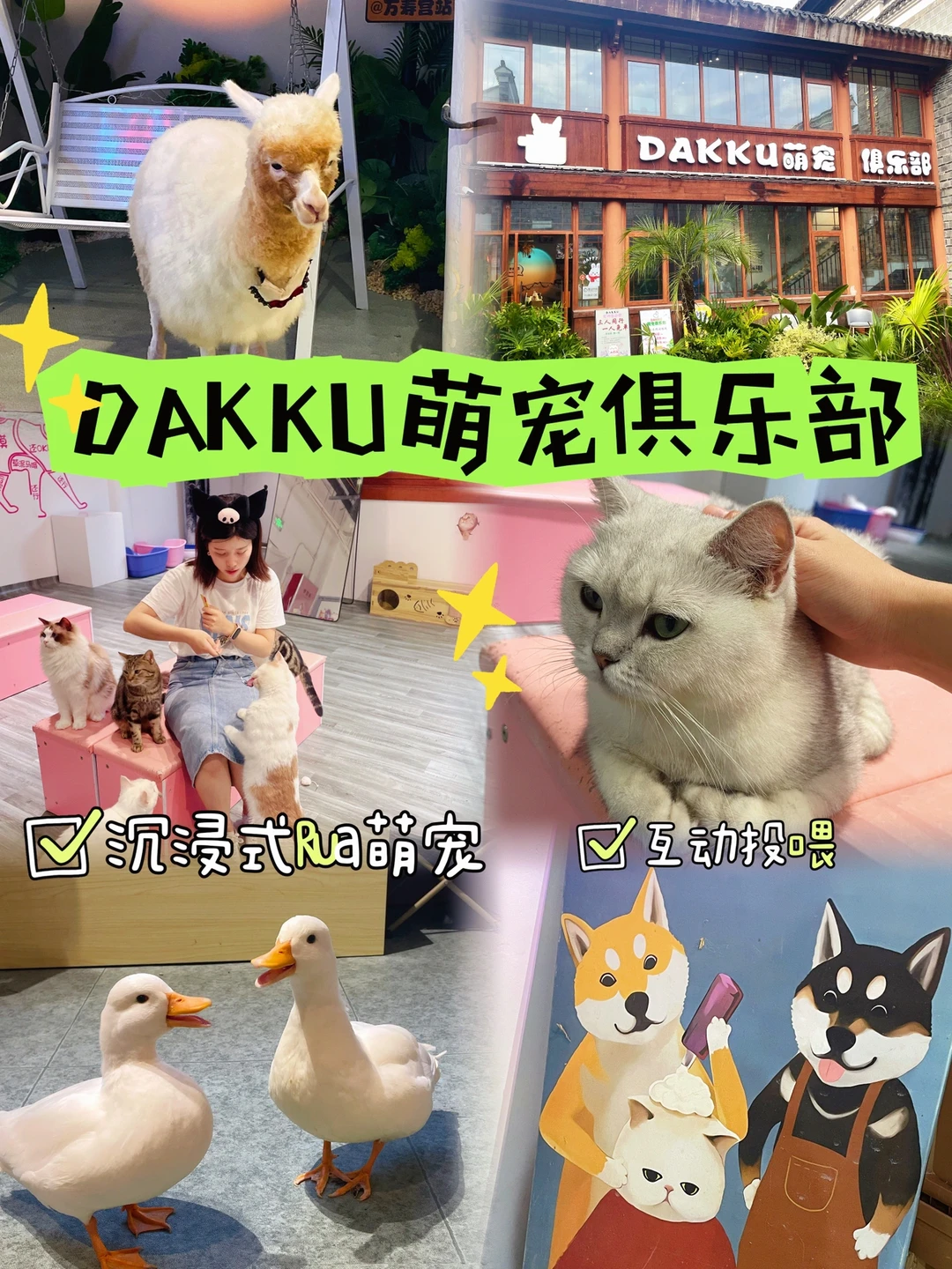 周末去哪玩｜这里的萌宠太好Rua了吧！