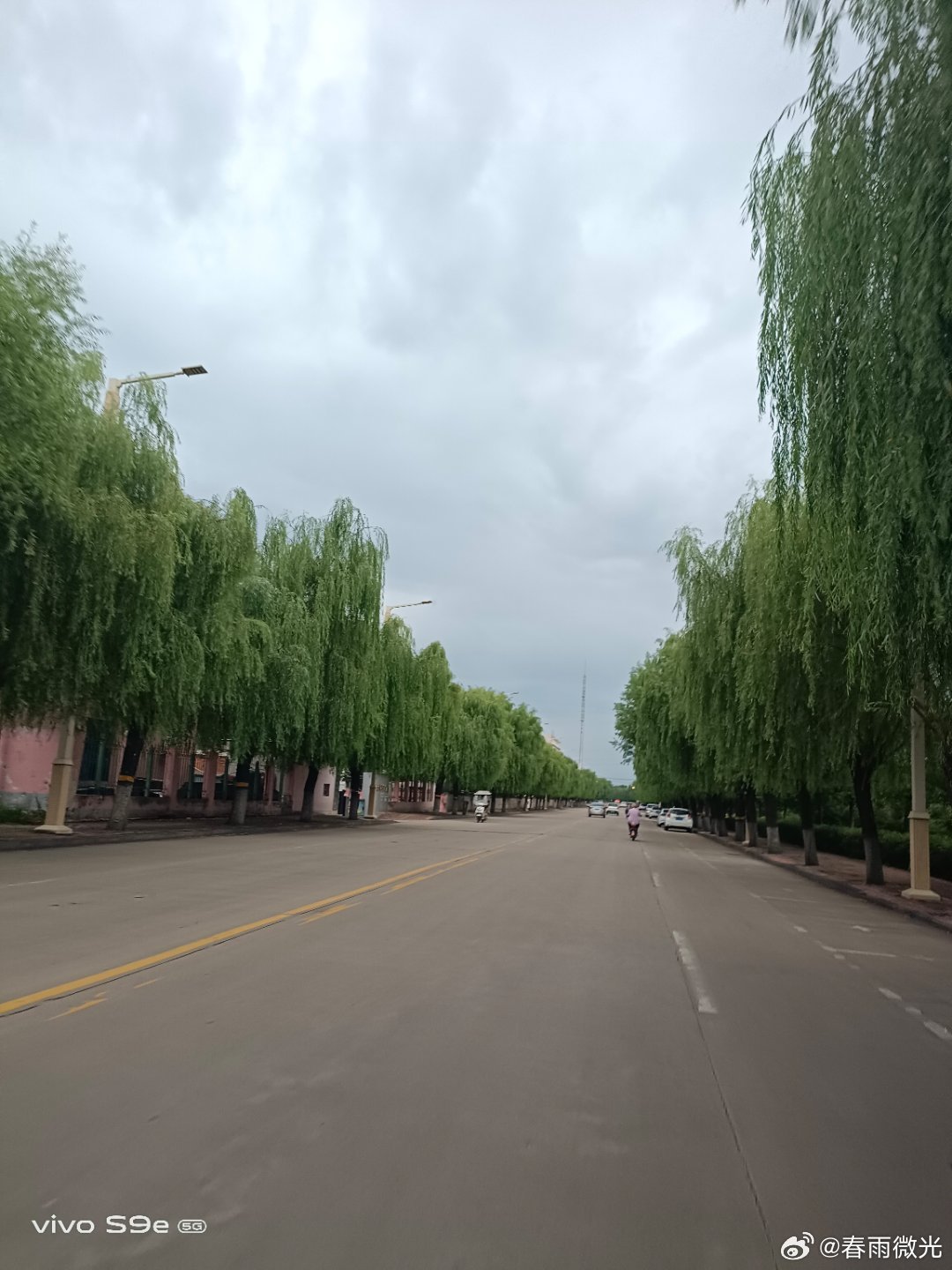 #vivo[超话]##vivo超话# 在阴天下非常凉快，看着道路两侧的柳树叶子更加翠绿，比平时还好看。 ​
