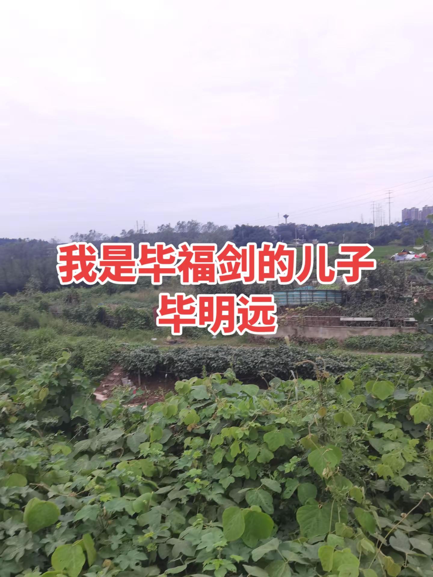【现场直击: