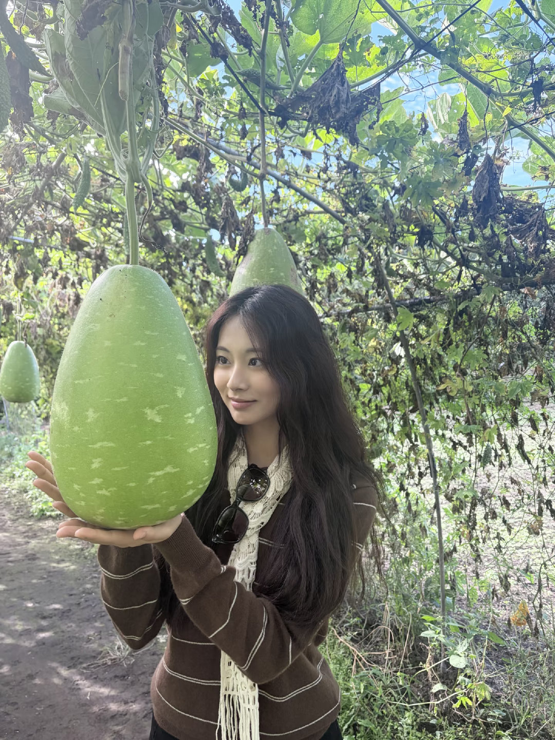同一身衣服🌰 ​