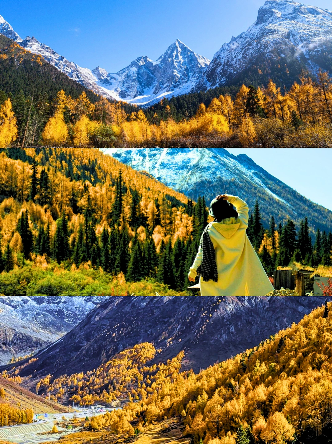 不用去瑞士！国庆自驾川西闯进秋天童话✨